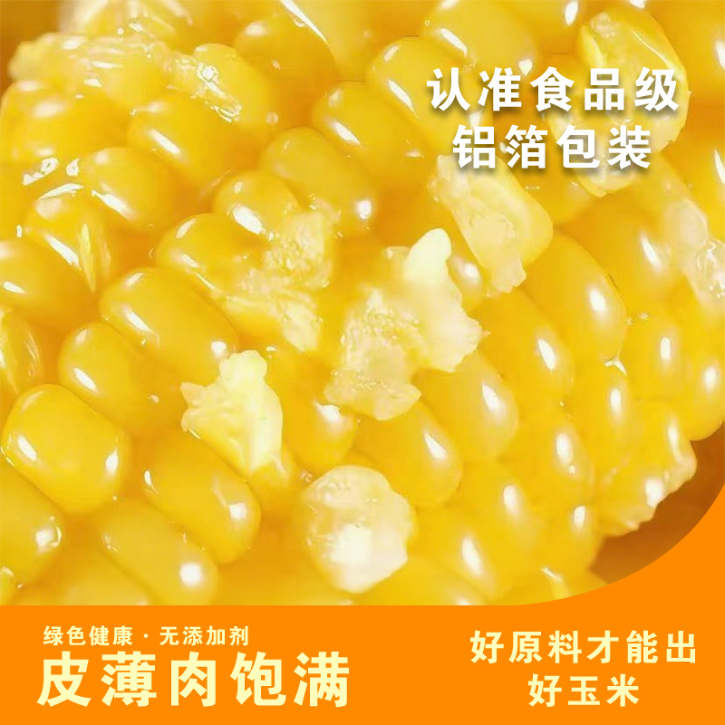 【整箱8.5-9斤】金铝装珍珠黄金糯单根280-350g试吃两棒整箱13根