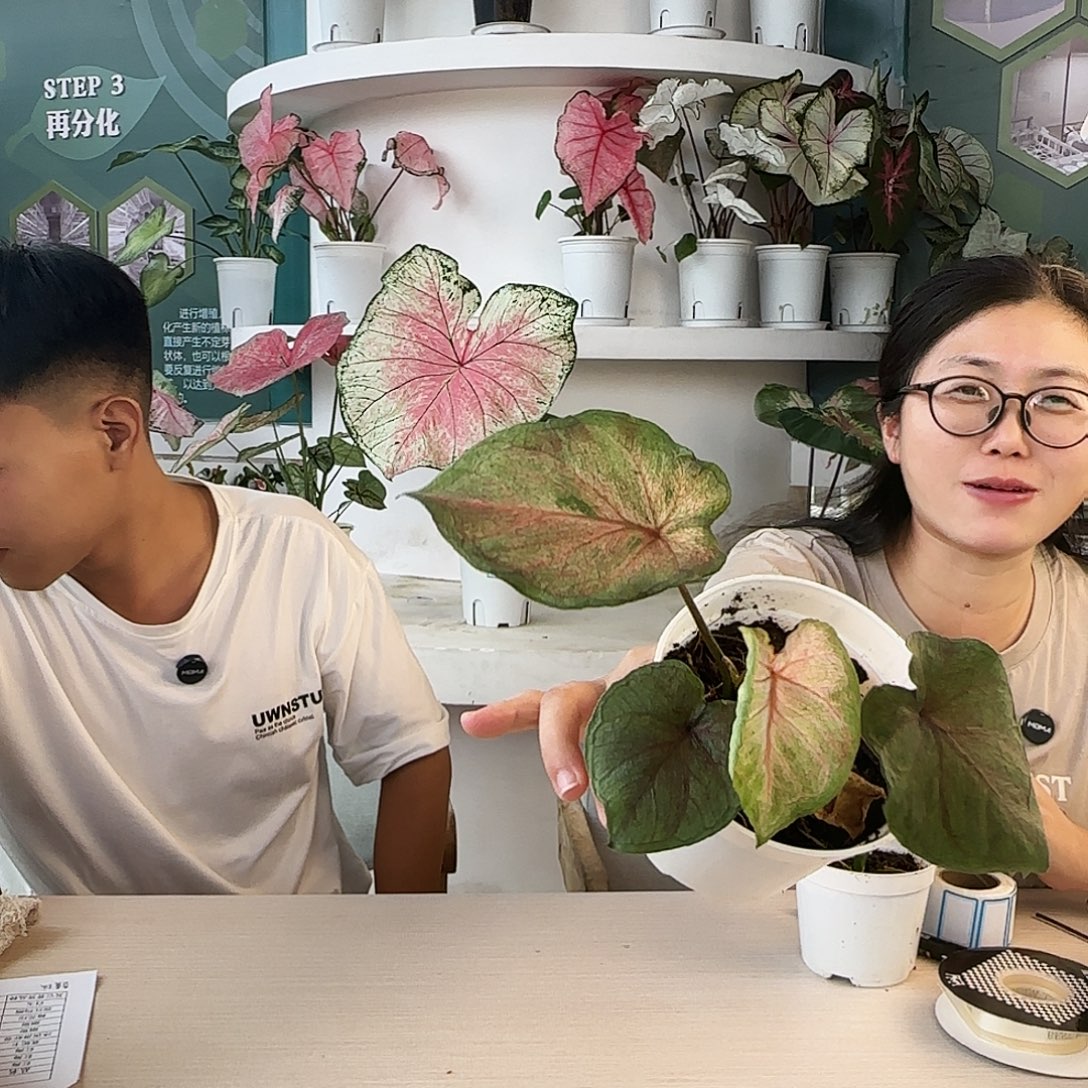 完全开放B40小海王无售后