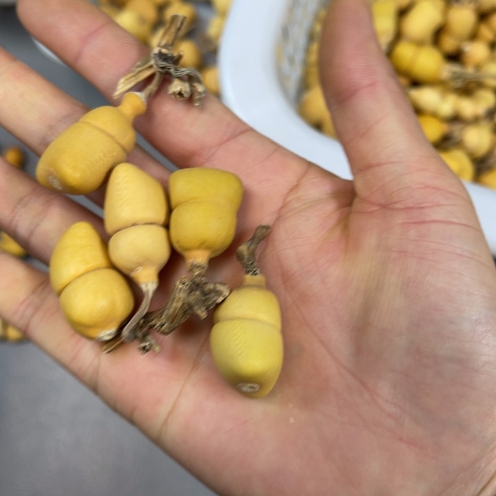 葫芦葫芦默认微瑕不退不换