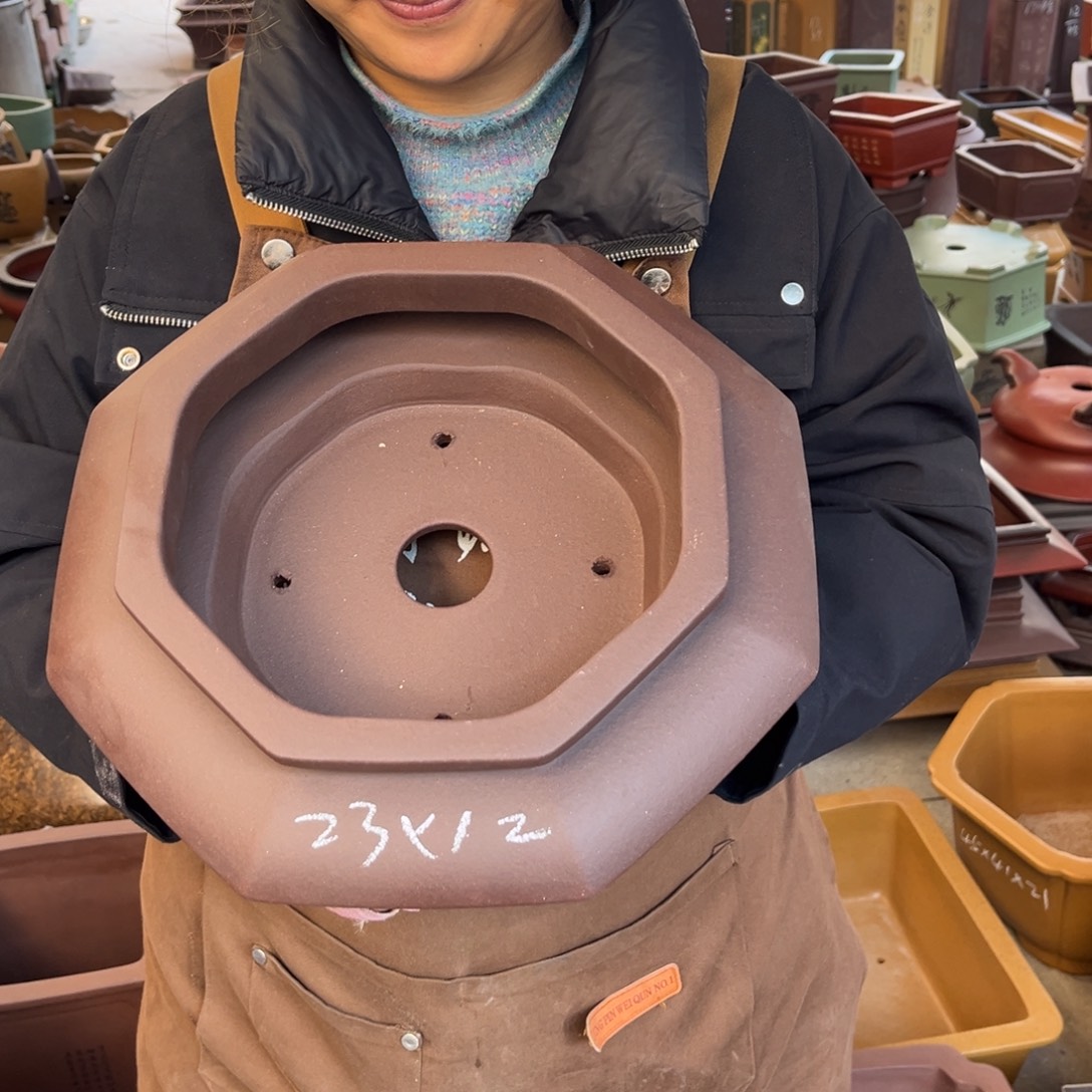 紫砂花盆盆景艺术