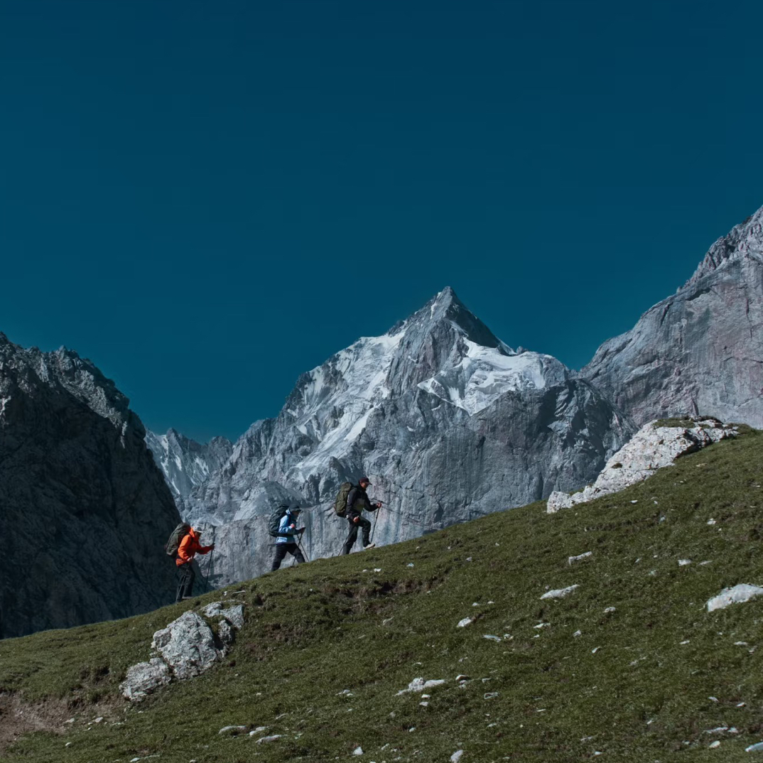 SLN-2025-羽绒系列