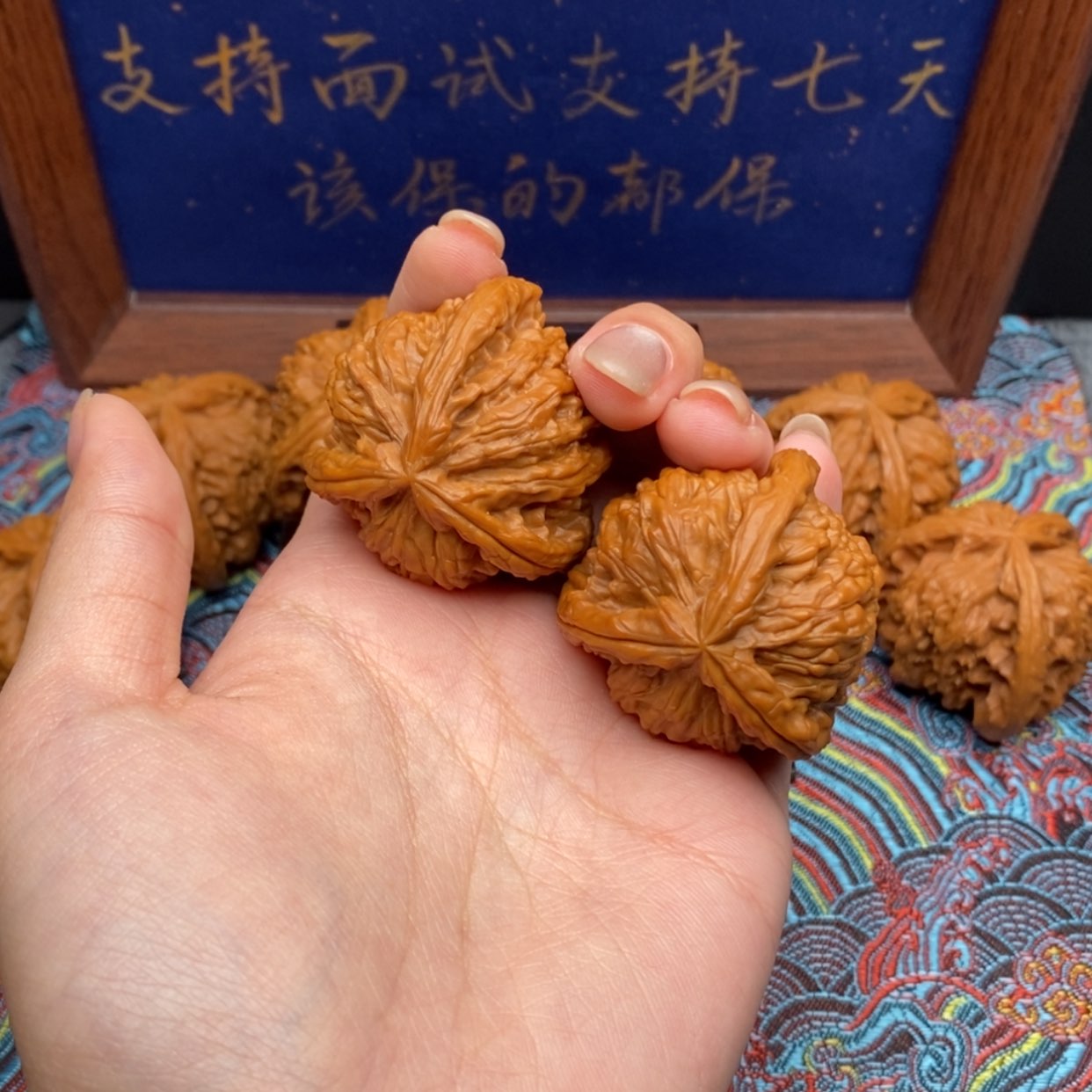 【闪购商品】爱**爱白狮