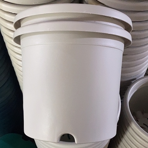 树脂四季3号微瑕灰白无托10个