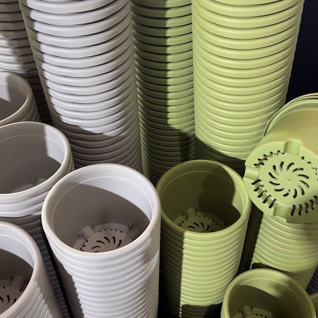 树脂四季2号带托3个白色3个果绿