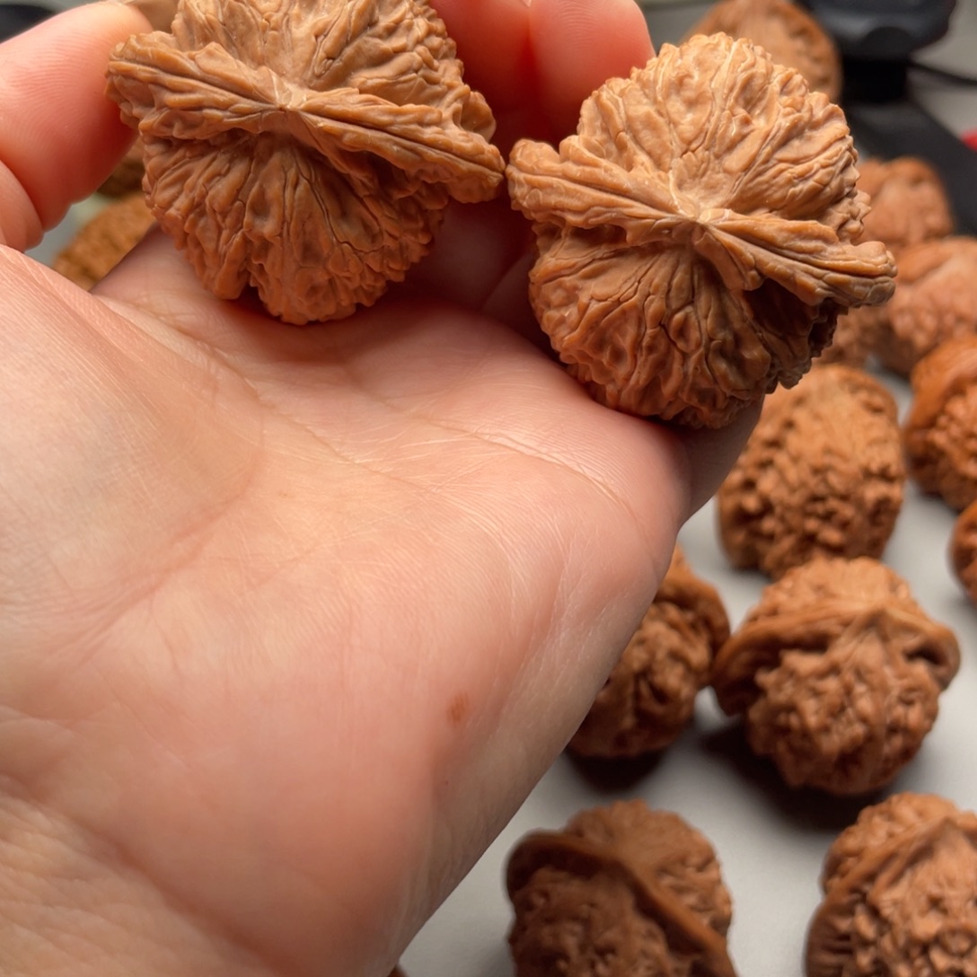 文玩核桃白狮子44