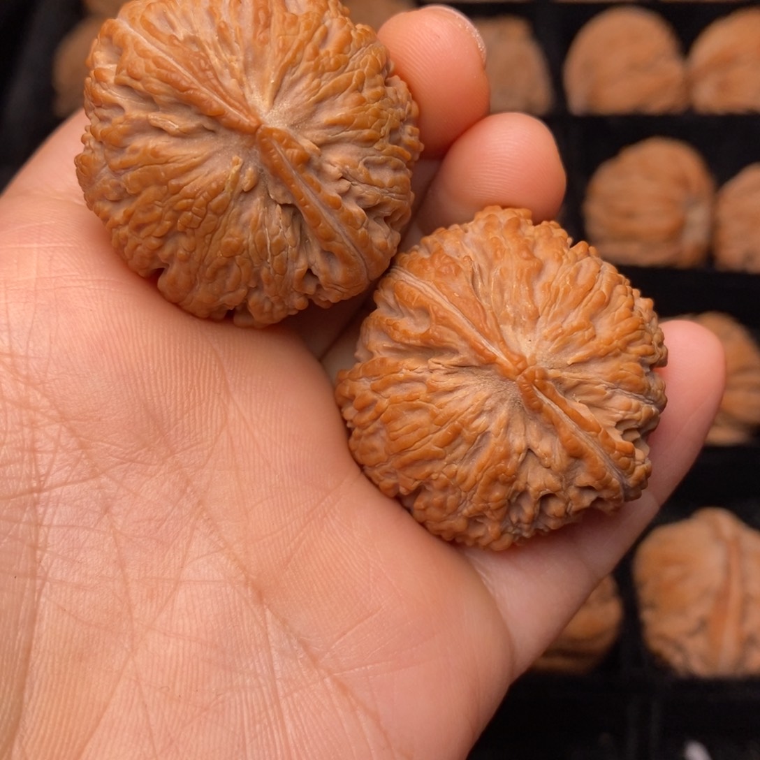 文玩核桃把件秦岭野生核桃