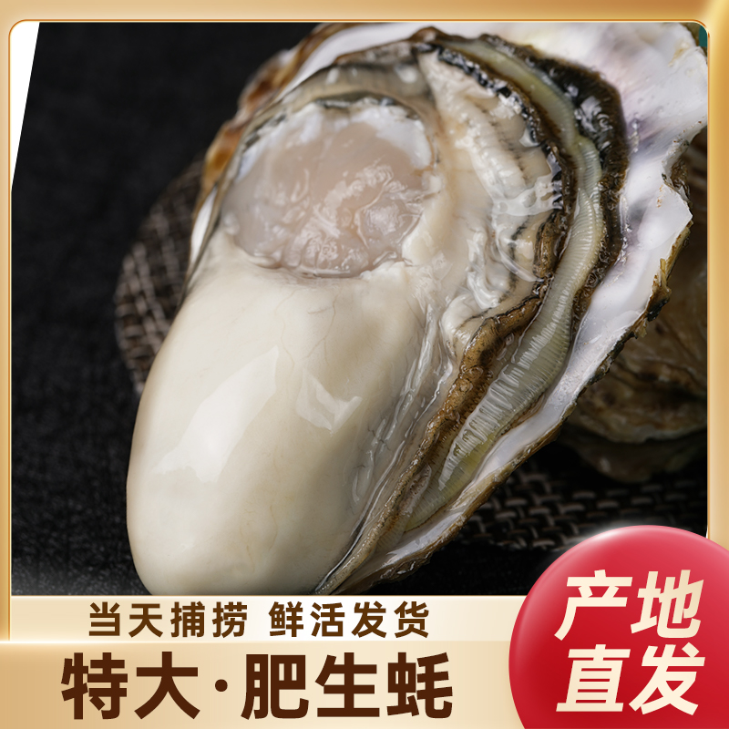 乳山生蚝3-5两/只买8斤送2斤带箱10斤装原产地现捞直发鲜活清蒸