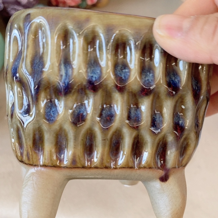 【闪购商品】红陶福利