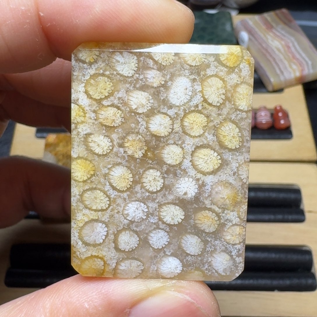 硅化玉纯天然色有机玉石未镶嵌