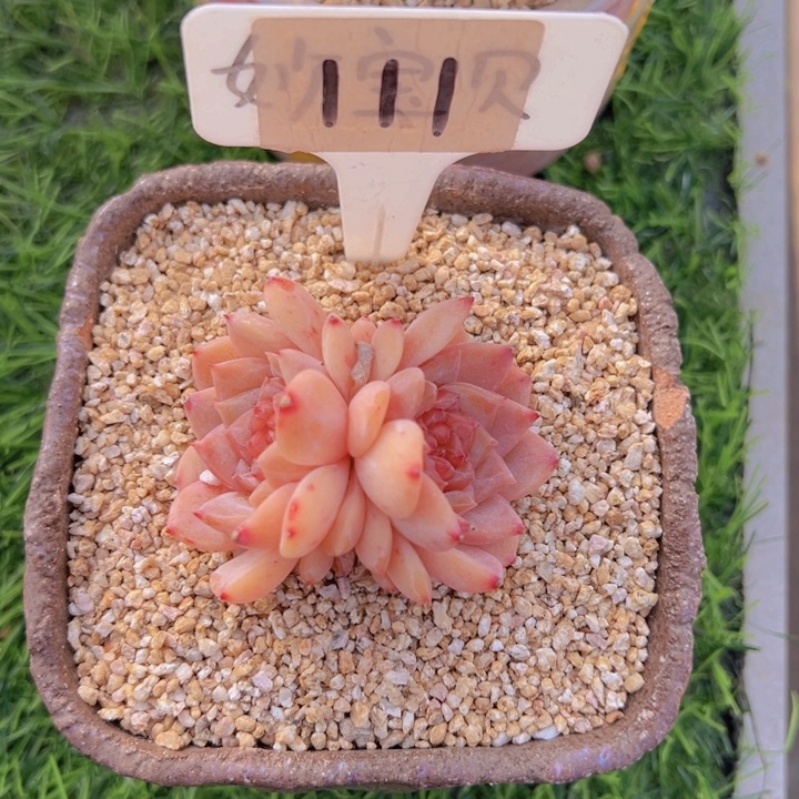 健健康康平平安安