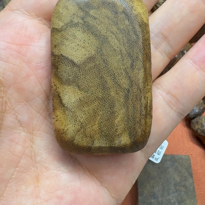 大叶紫檀（黑酸枝木类）