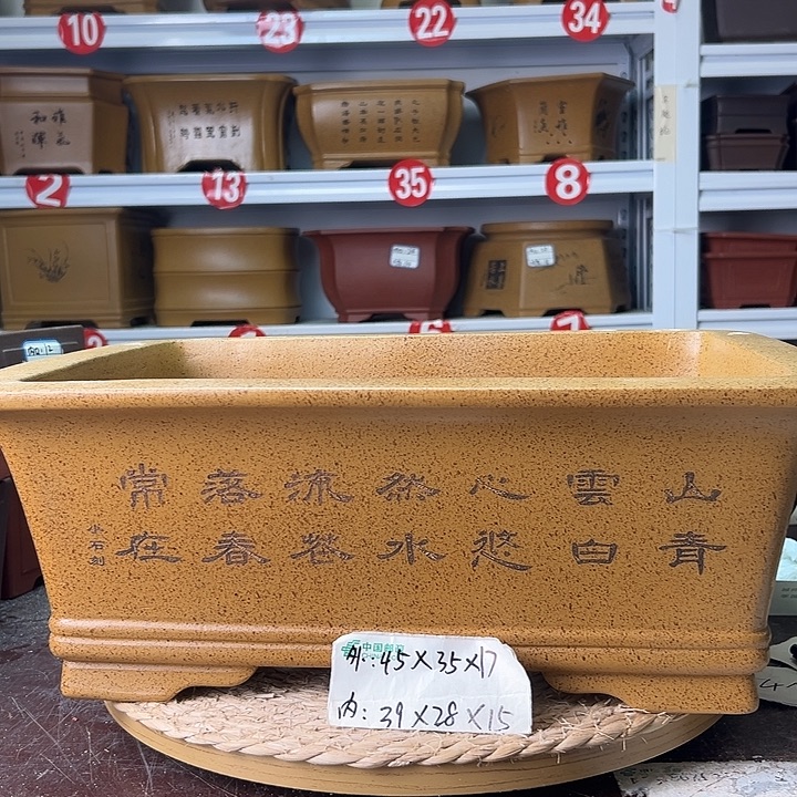 花盆紫砂蛇年大吉