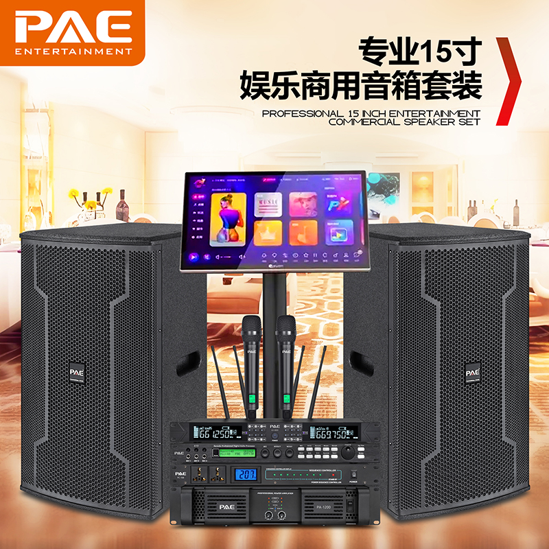 德国PAE派尔音响单十五寸户外舞台音响大音量专业演出音响套装