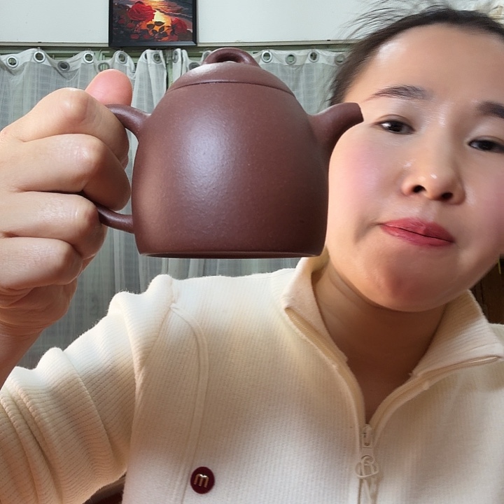 紫泥底槽青秦权209cc