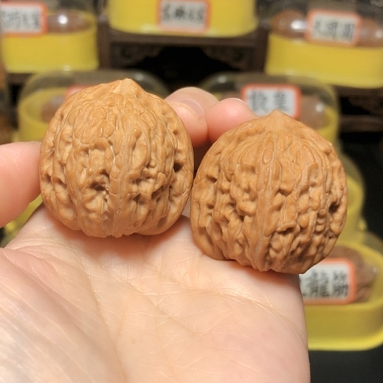 精品野生四喜元宝