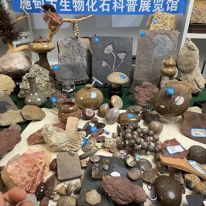 玉家居摆件家居标本