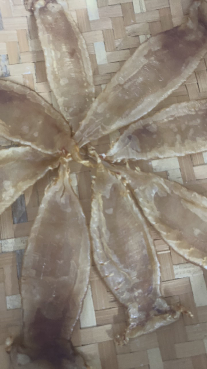 汕头南澳县直播鱼胶 代拍链接（已直播称重为准）