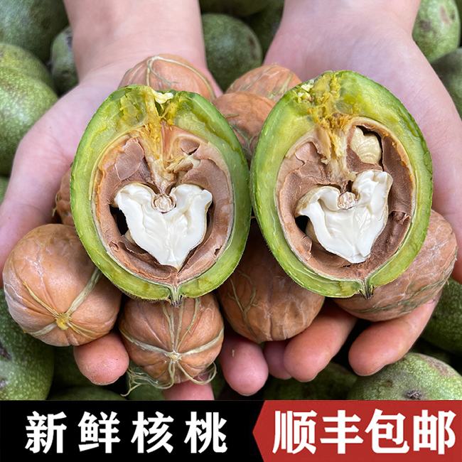 【顺丰包邮】陕西秦岭老树核桃2025新鲜采摘去青皮湿核桃3斤5斤8斤