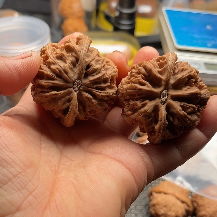 火***晶把件桃核全品球筋边48➕