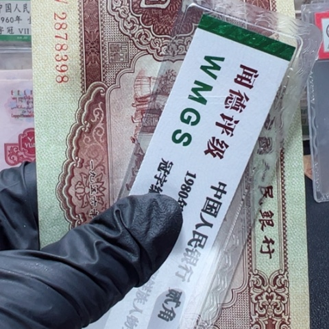 塑料第二套人民币黄五元