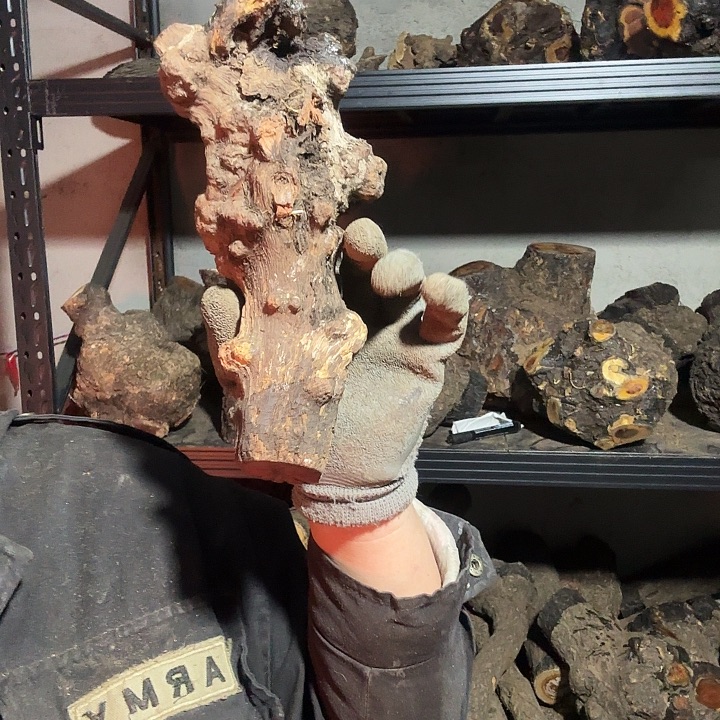 顶***地香榧木火琉璃的故事是一个人