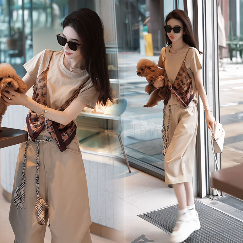 盐系宽松型2025夏季假两件短袖t恤上衣高腰短裤显瘦减龄两件套装