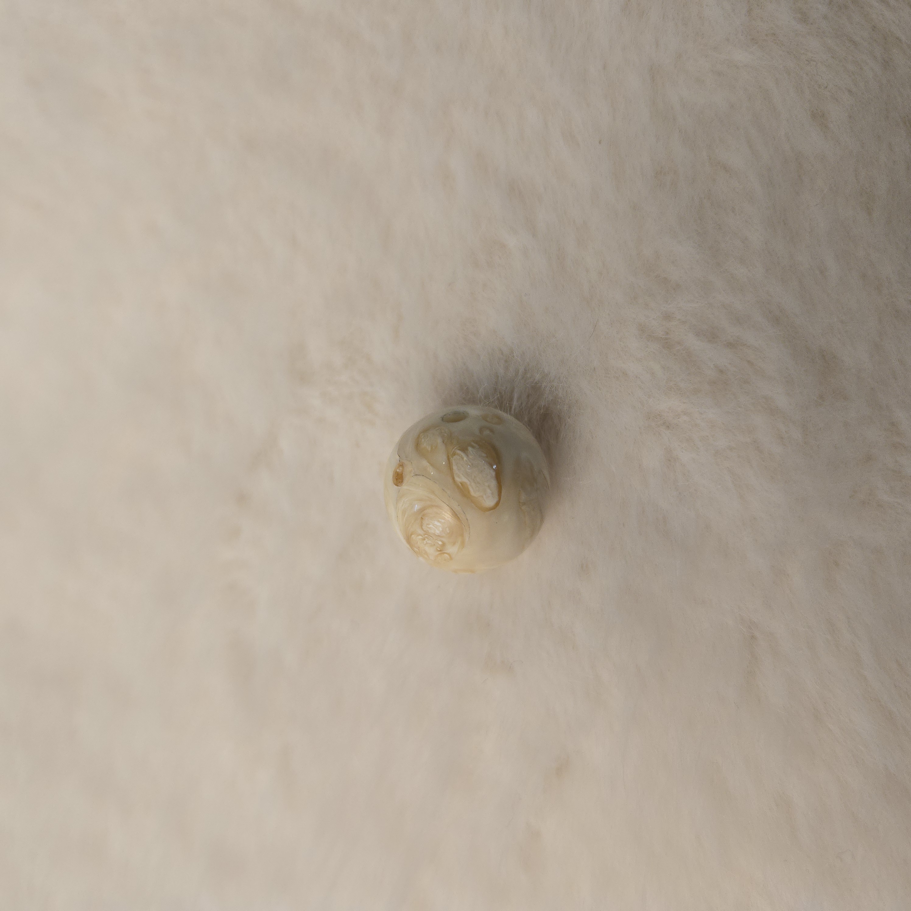 微瑕福利 猛犸牙牙髓珠单珠约14mm左右