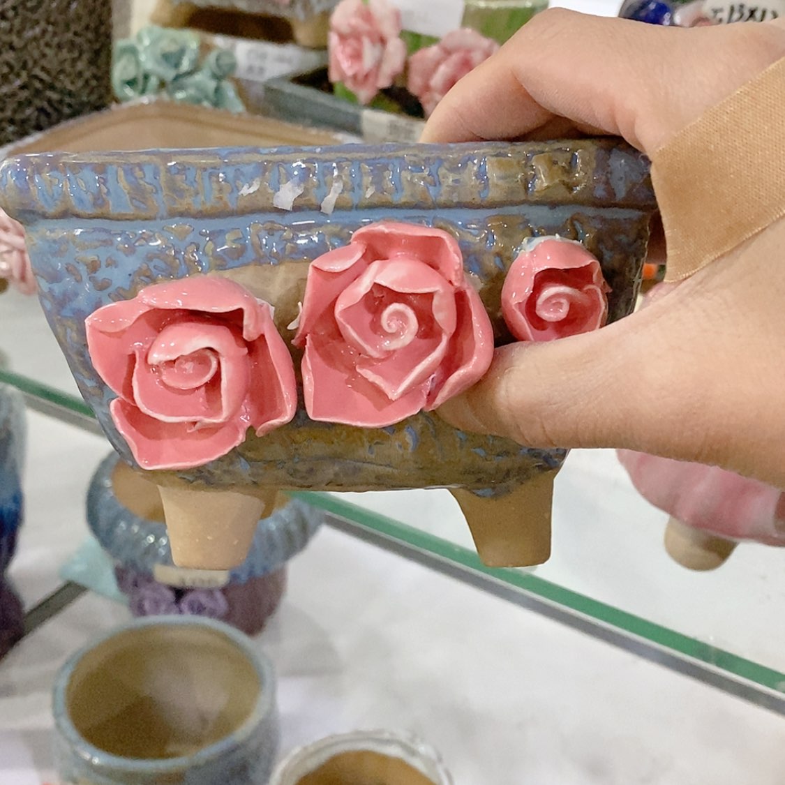 【闪购商品】红陶福利