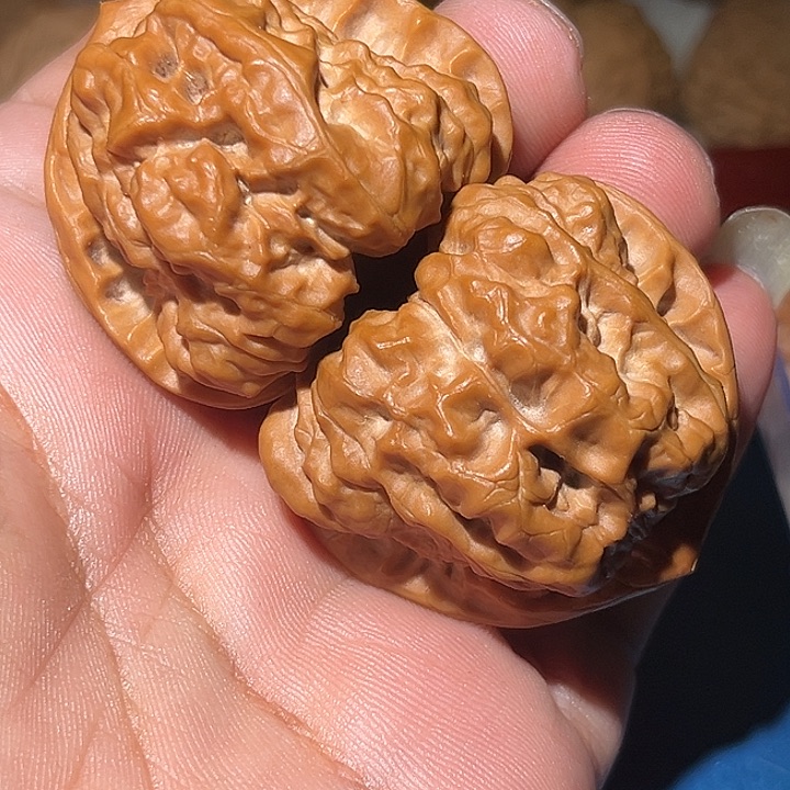 强***材木44蛤蟆头。         