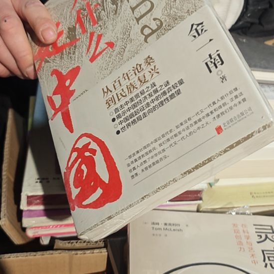 为什么中国金一南平装库存书