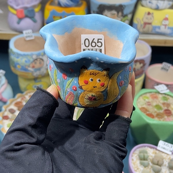 大舅生石花肉锥多肉065