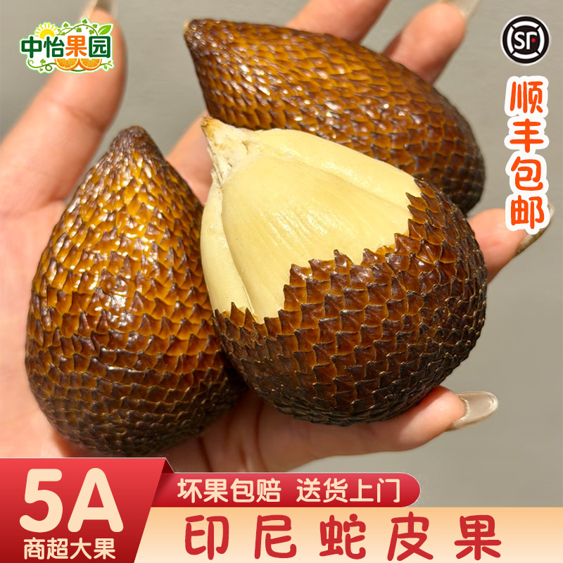 印尼蛇皮果坏果包赔热带应季新鲜水果整箱批发顺丰包邮记忆之果