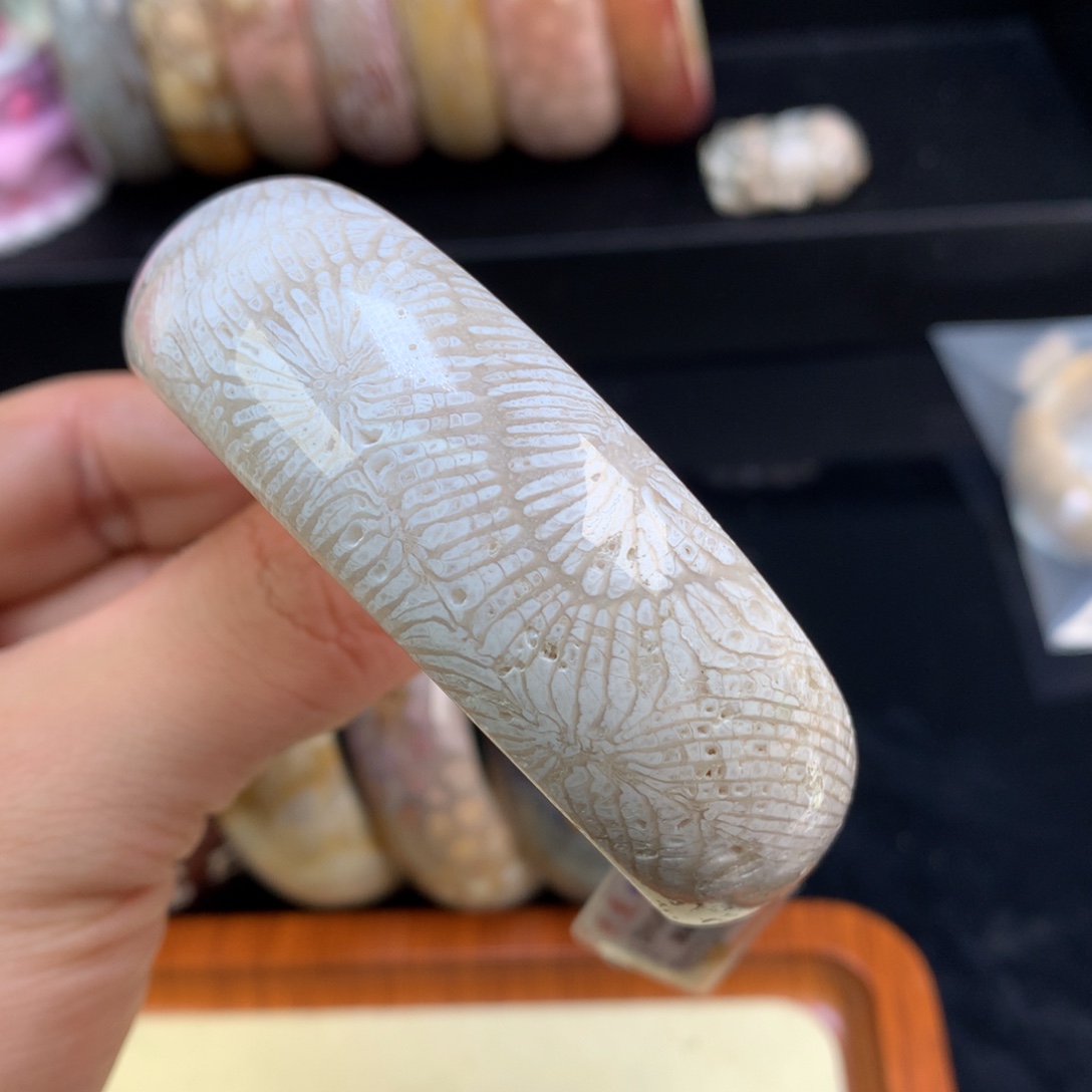 硅化珊瑚（珊瑚玉）未镶嵌颈饰107号59.4圈骨骼龙骨
