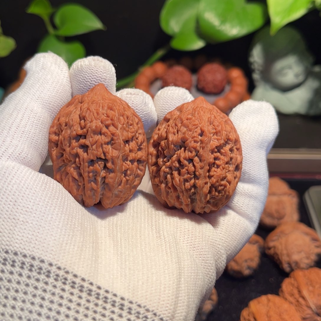 【闪购商品】文玩核桃把件大蒜头全品