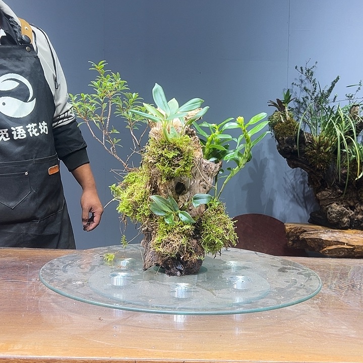 无花朵111111111111111