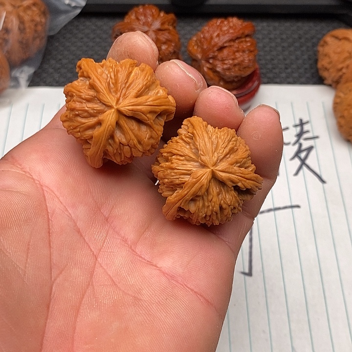 把件核桃拼接白狮子5