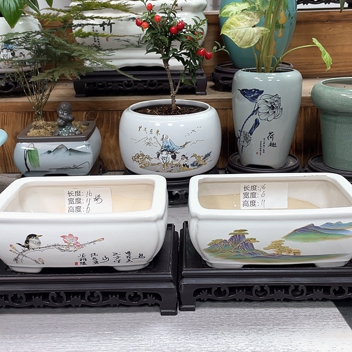 陶瓷花盆抢购福利活动