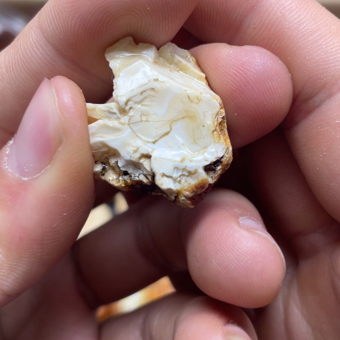 定制琥珀未镶嵌定制