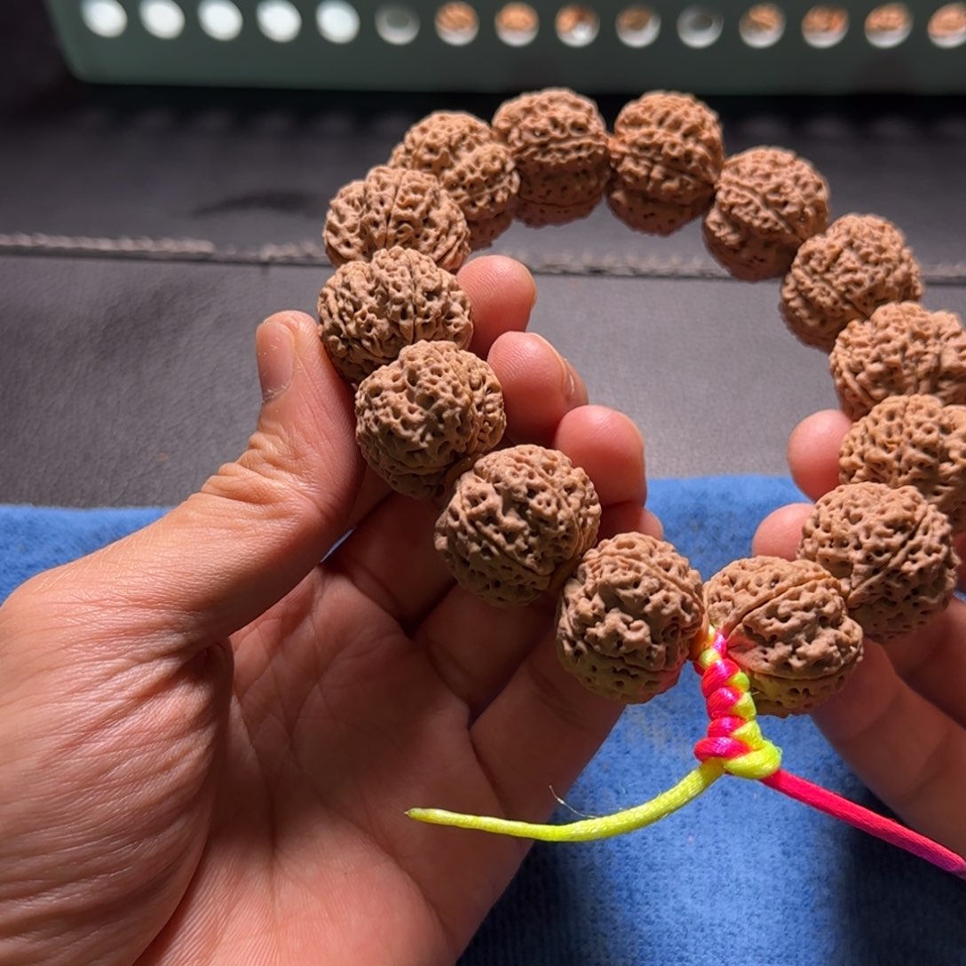 金刚菩提手串23尺寸霸王龙