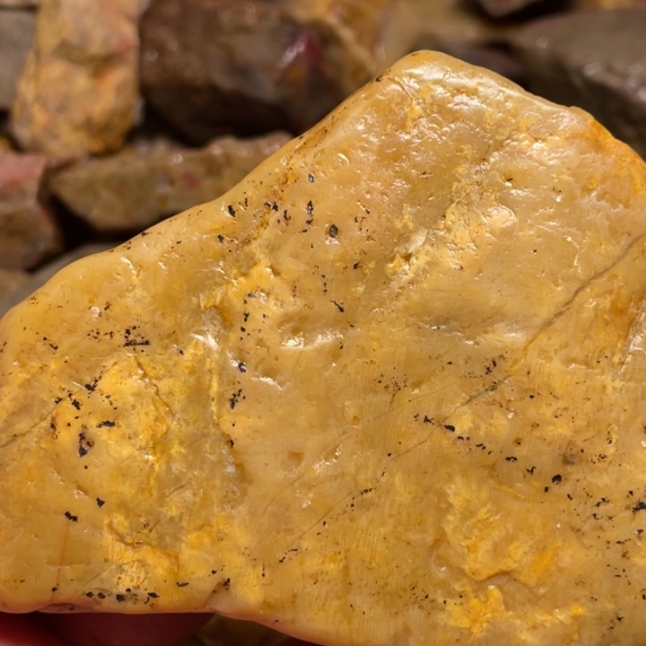 田黄石397克昌化田黄石