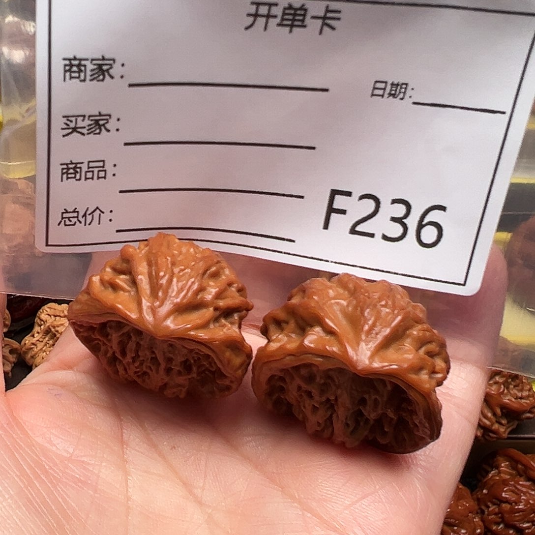 古***宁蛇王蛇王蛇王蛇王31