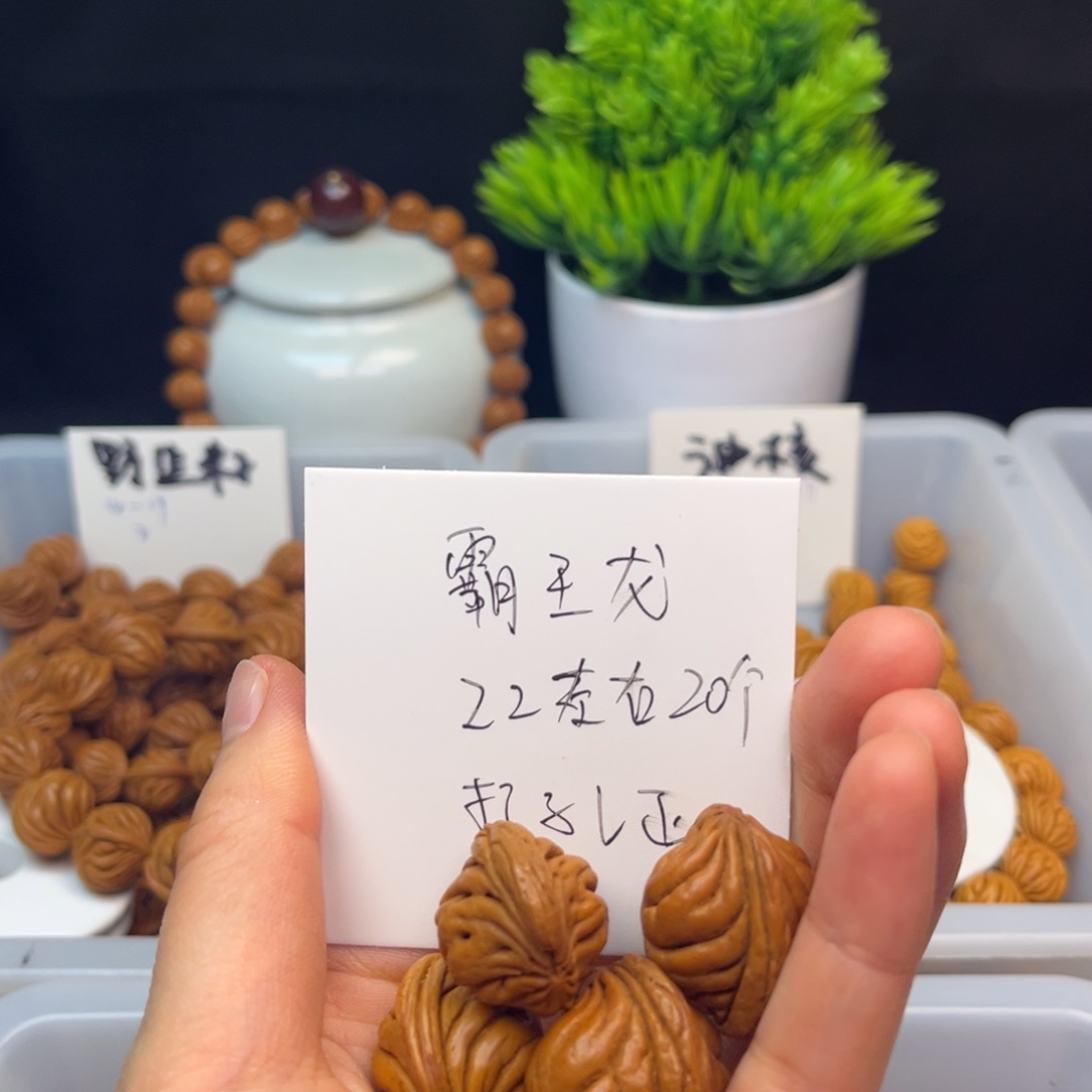 桃核手串霸王龙22尺寸