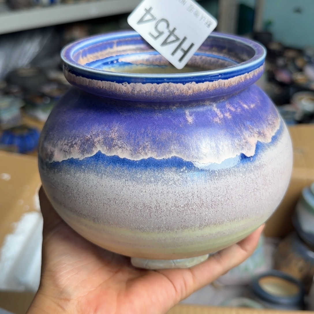 重庆小小燕子欢迎大家454