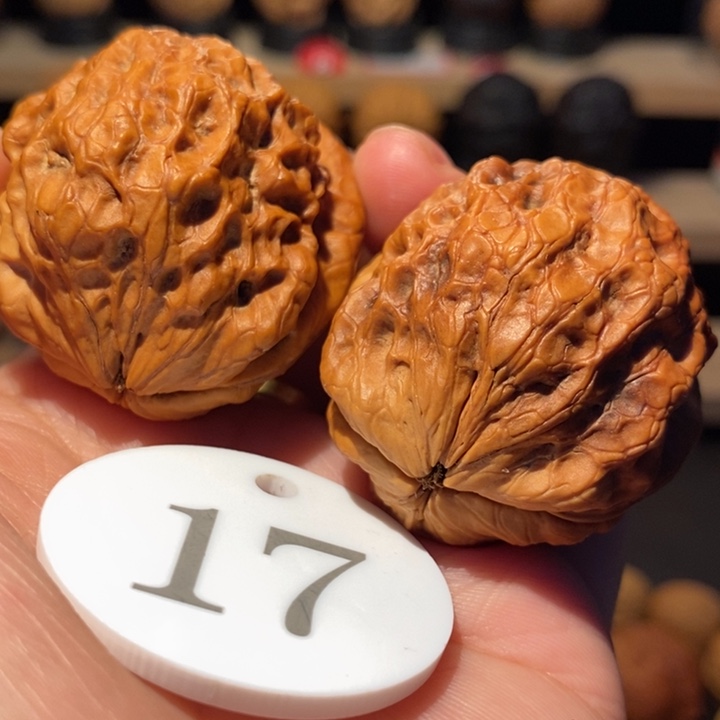 木质类七彩鹦鹉蟾39尺寸