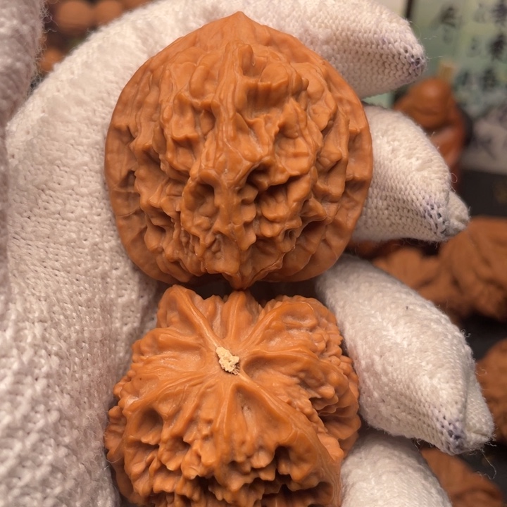 不***悔核桃42尺秦岭野生龙纹官帽福利