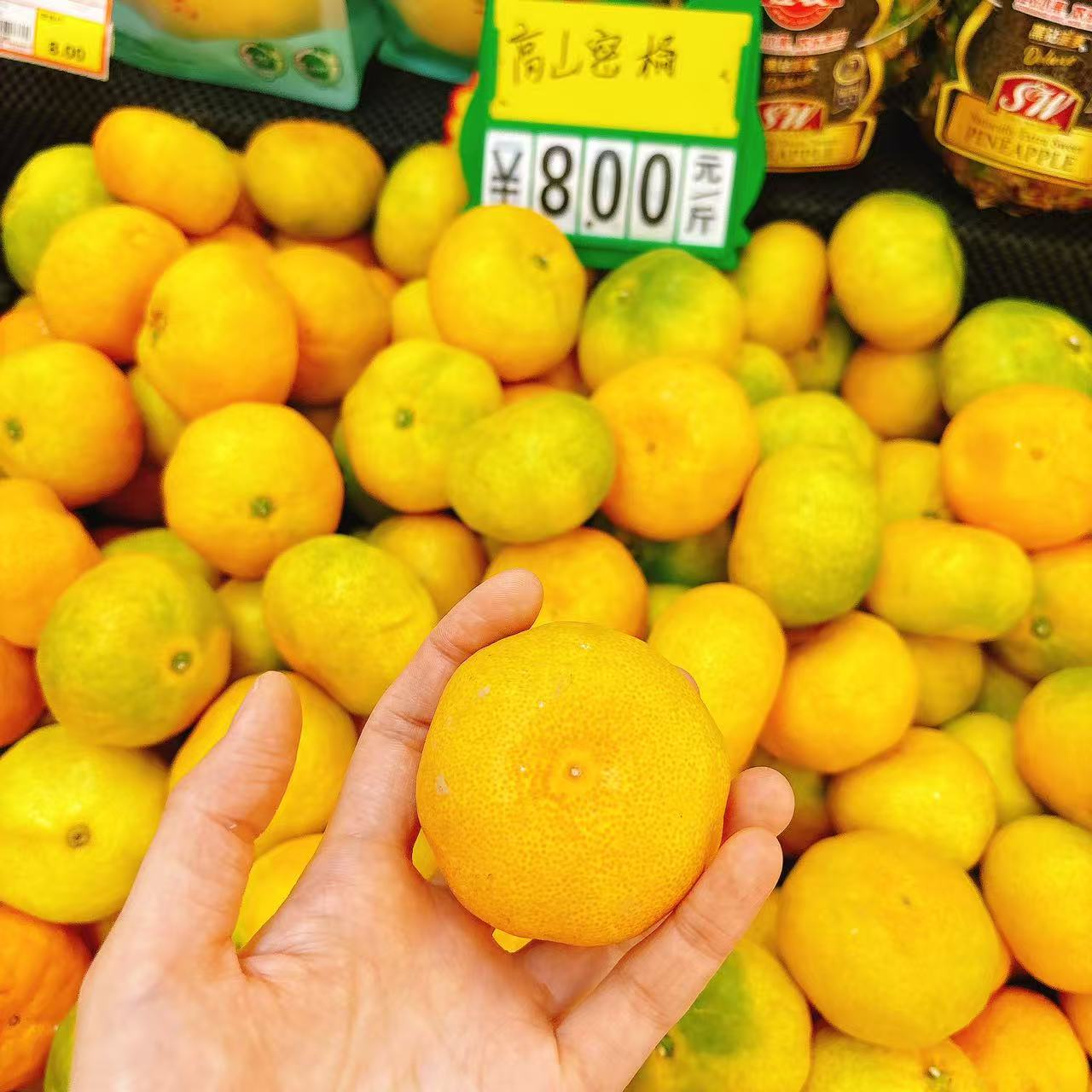 高山蜜橘500g黑龙江省