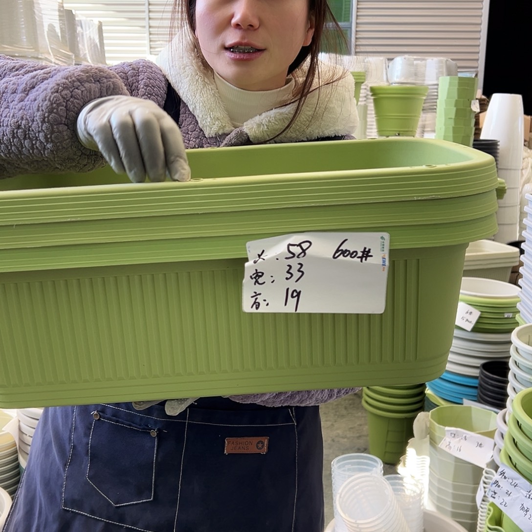 菜盆600#果绿3个无托