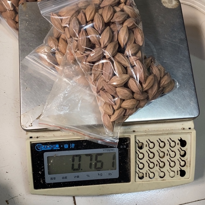 吊坠橄榄核华**雕橄榄油和好