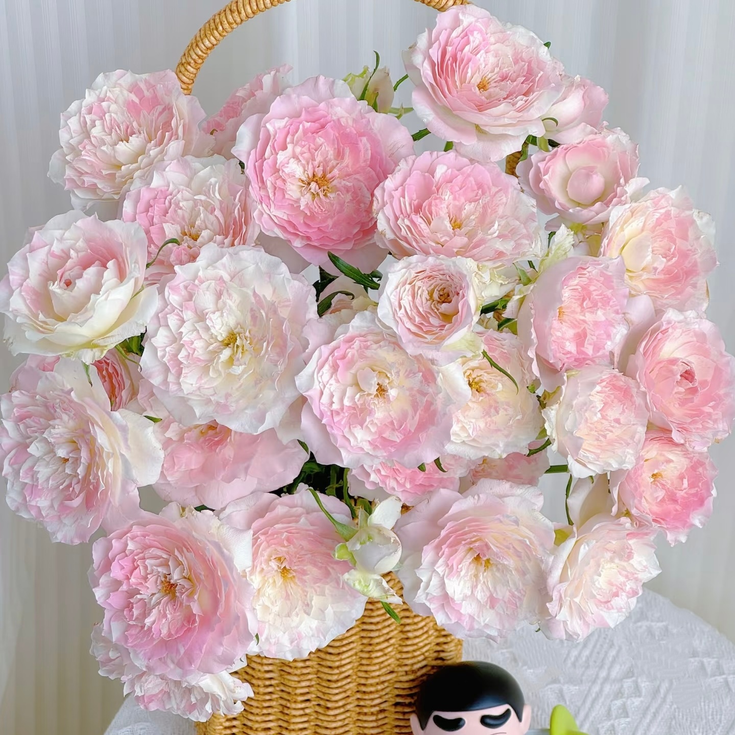 【花之物语】法式千层酥单头玫瑰 包邮