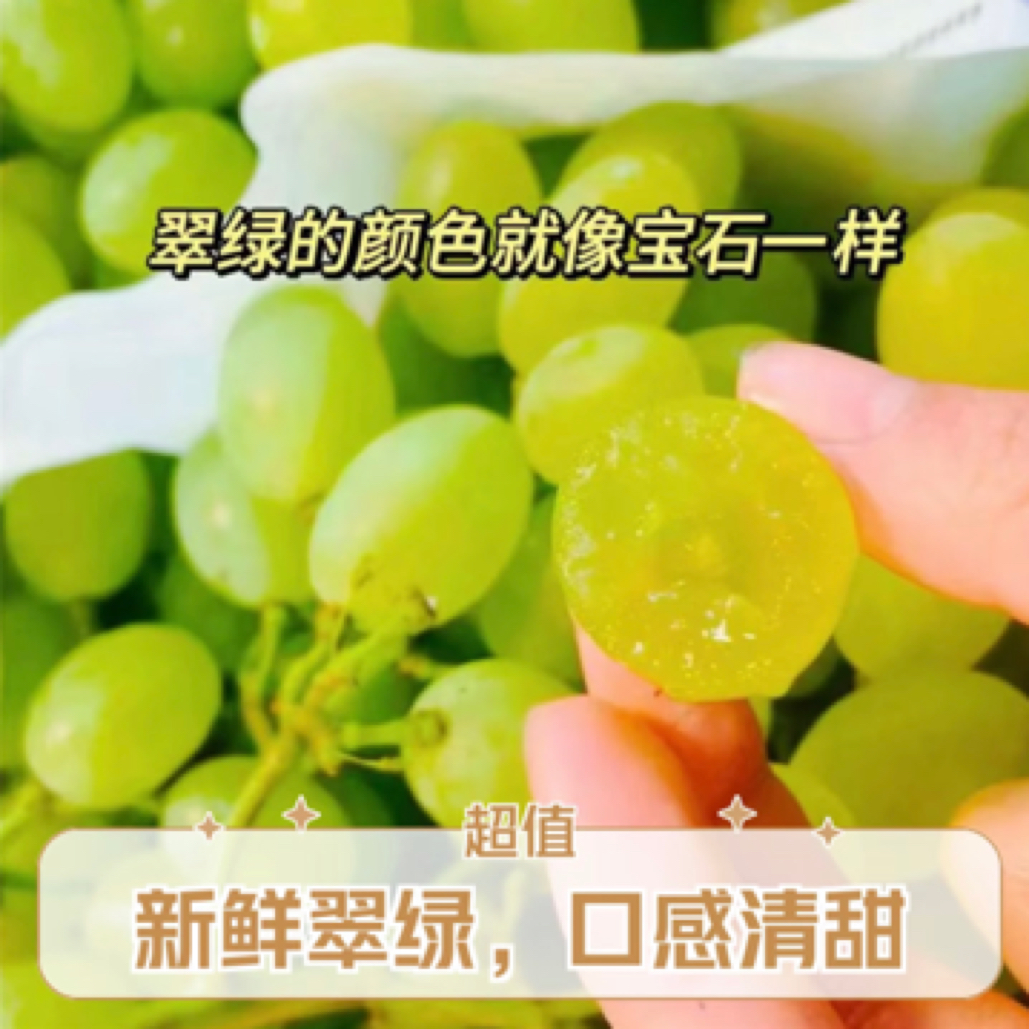 【平台推荐】空运新疆无核白小蜜蜂葡萄 颗颗爆汁新鲜水果新疆维吾尔自治区